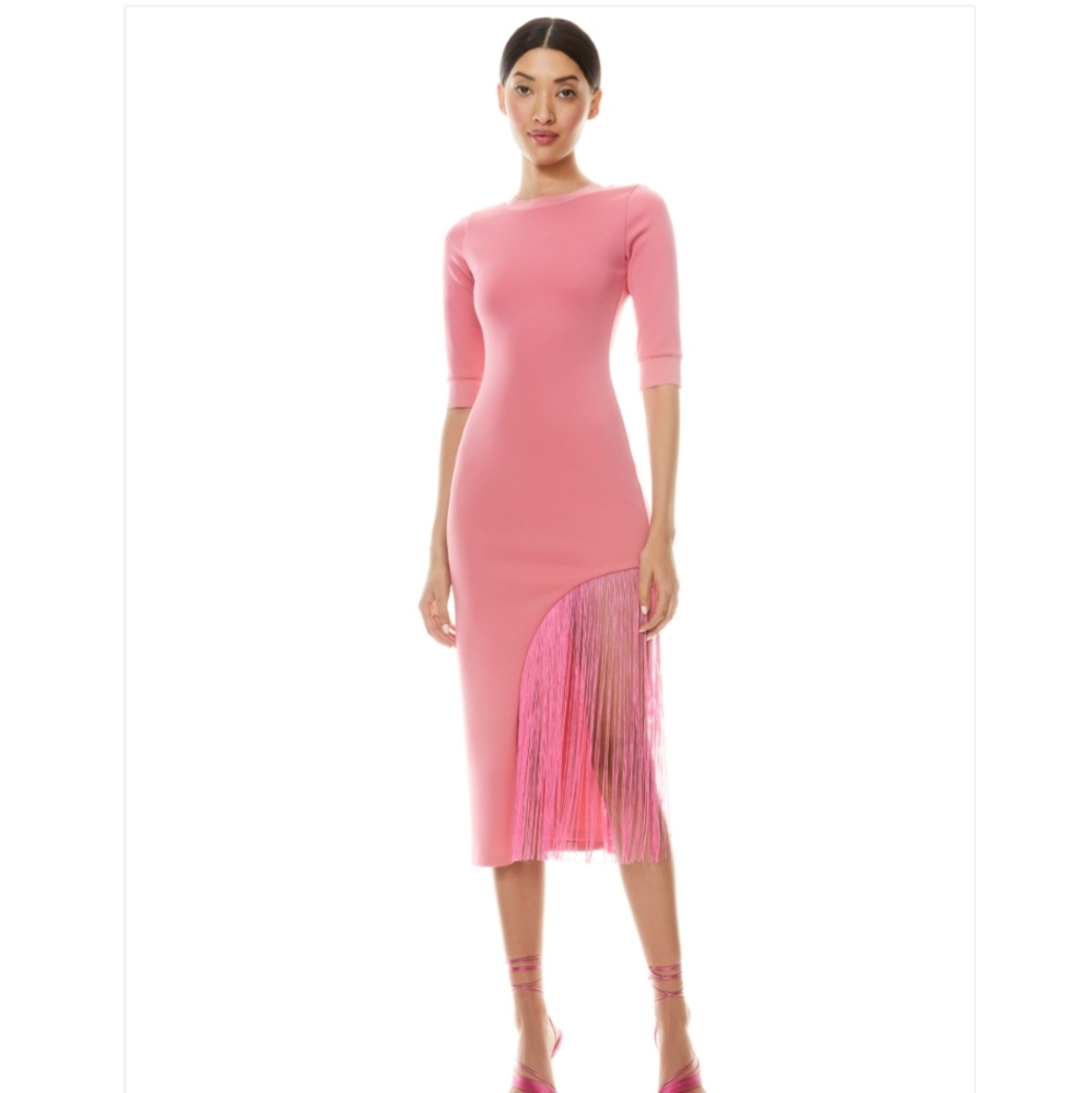 ALICE +OLIVIA ASYMMETRICAL FRINGE MIDI DRESS SIZE 0 - Picture 4 of 16